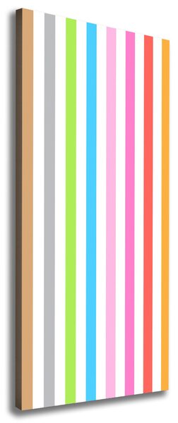 Tablou canvas dungi colorate