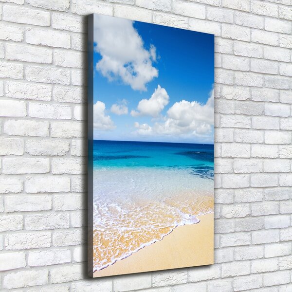 Pictură pe pânză plaja tropicala