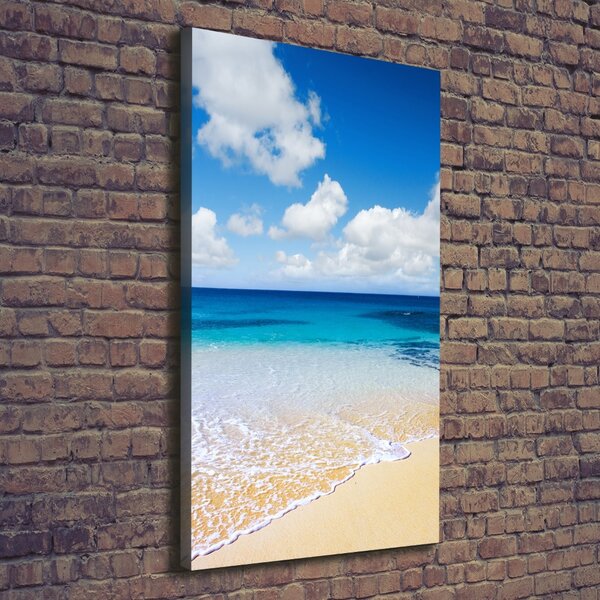 Pictură pe pânză plaja tropicala