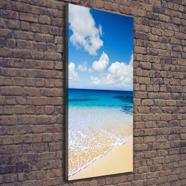 Pictură pe pânză plaja tropicala