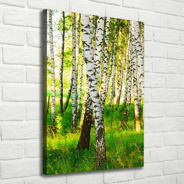 Print pe canvas pădurea de mesteacăn