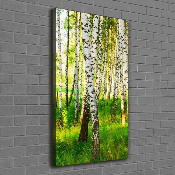 Print pe canvas pădurea de mesteacăn