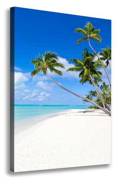 Tablou pe pânză plaja tropicala