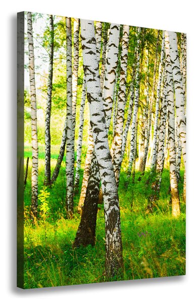 Print pe canvas pădurea de mesteacăn