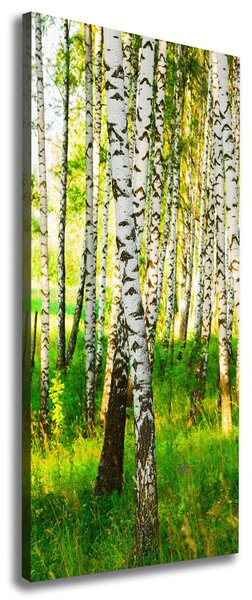 Print pe canvas pădurea de mesteacăn