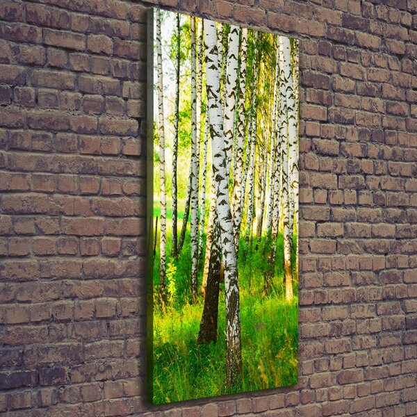 Print pe canvas pădurea de mesteacăn