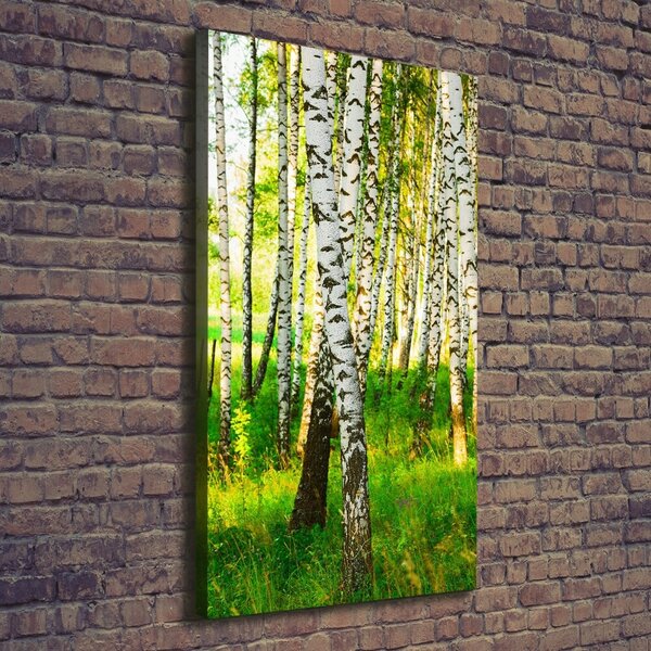 Print pe canvas pădurea de mesteacăn