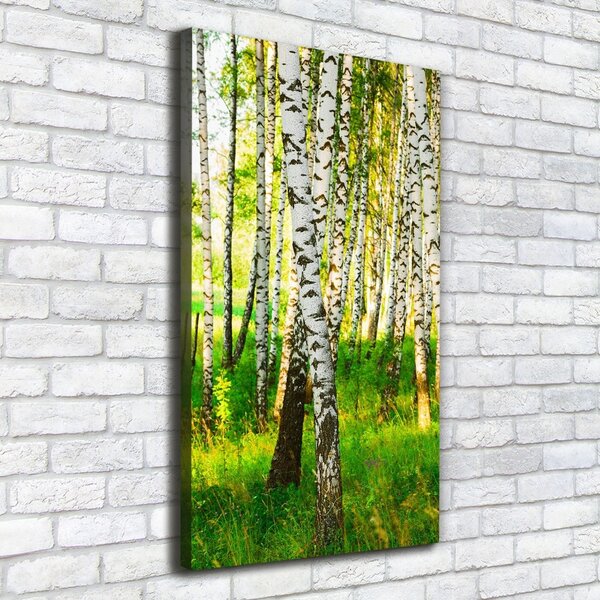 Print pe canvas pădurea de mesteacăn