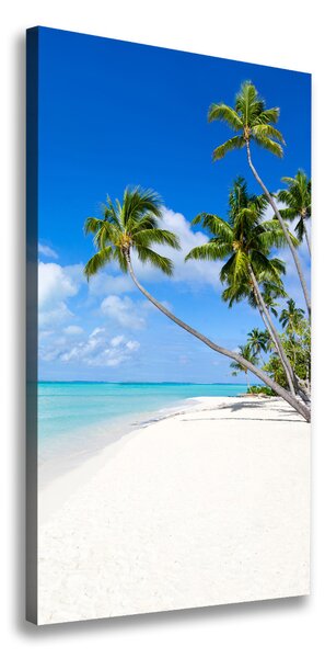 Tablou pe pânză plaja tropicala