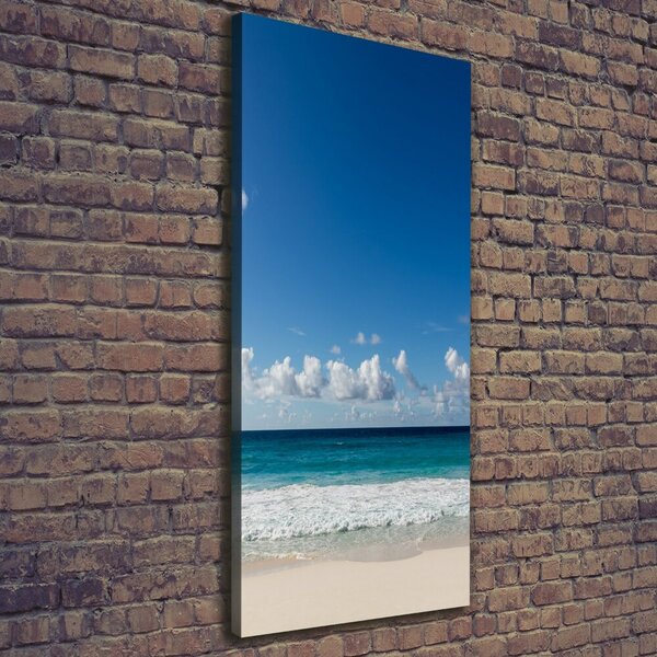 Tablou canvas plaja tropicala