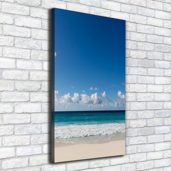 Tablou canvas plaja tropicala