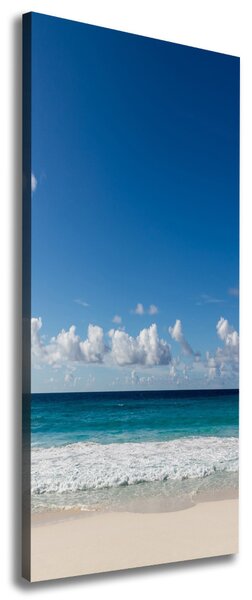 Tablou canvas plaja tropicala