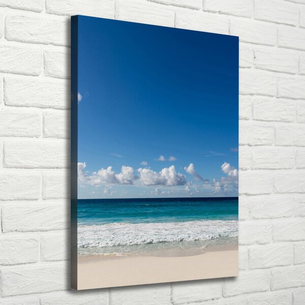 Tablou canvas plaja tropicala