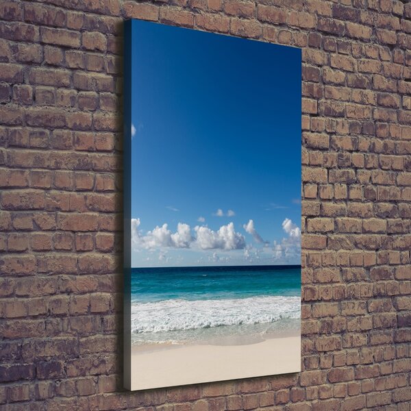 Tablou canvas plaja tropicala
