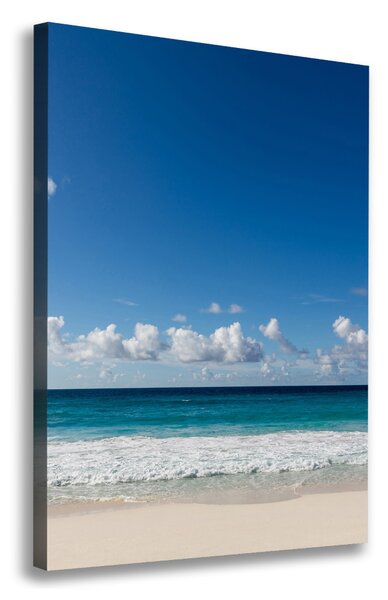 Tablou canvas plaja tropicala