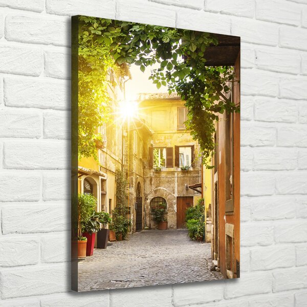 Tablou pe pânză canvas străzile italiene