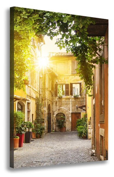 Tablou pe pânză canvas străzile italiene