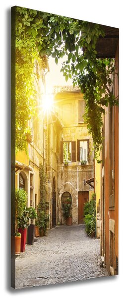 Tablou pe pânză canvas străzile italiene