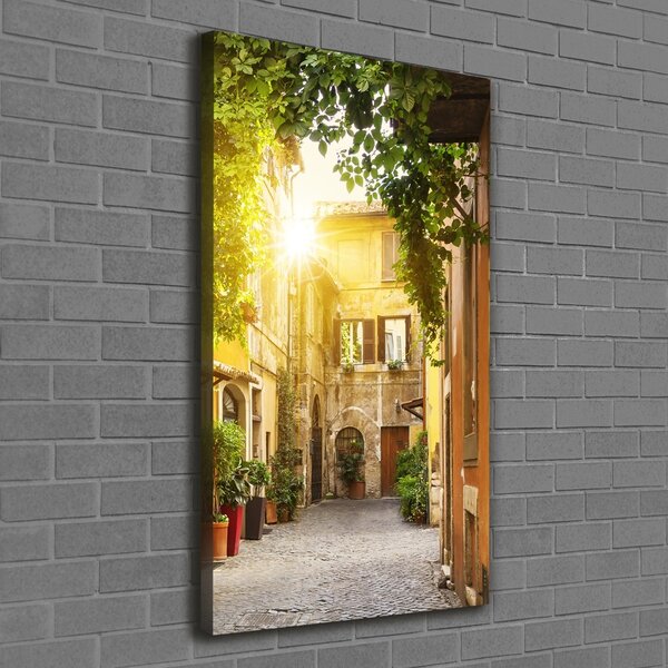 Tablou pe pânză canvas străzile italiene