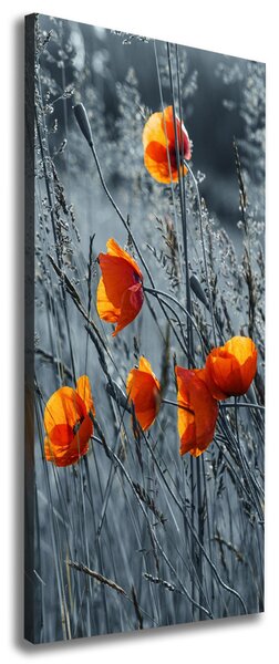 Imprimare tablou canvas wildflowers maci