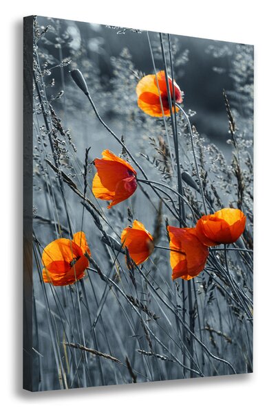 Imprimare tablou canvas wildflowers maci