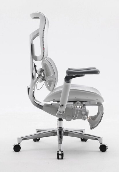 Scaun ergonomic SIHOO DORO S300 ADAPTIVE, cotiere 6D ultra moi, suport lombar adaptiv, spătar reglabil pe inaltime, mecanism multifunctional inclinare/blocare, pivotant, Mesh, Gri