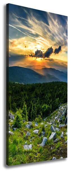 Tablou pe pânză panorama munților