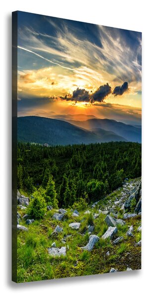 Tablou pe pânză panorama munților
