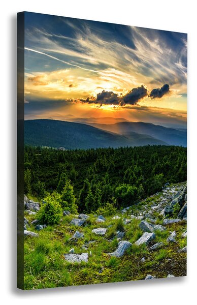 Tablou pe pânză panorama munților