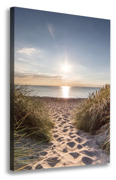 Print pe canvas dune de coastă