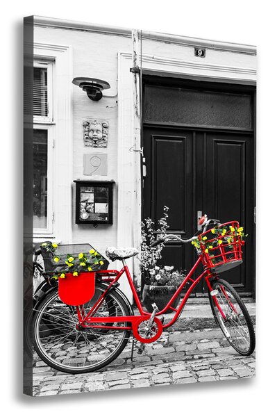 Print pe canvas Oraș biciclete