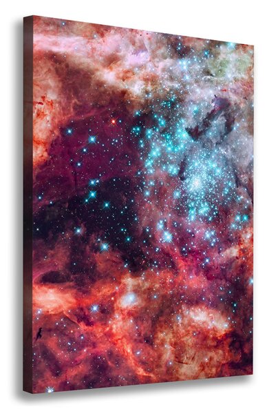 Imprimare tablou canvas nor Magellanic