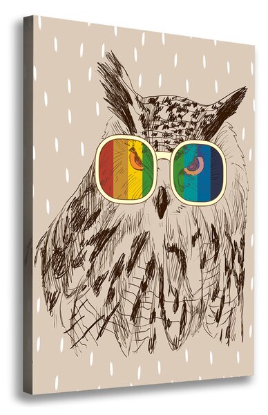 Tablou canvas Owls ochelari