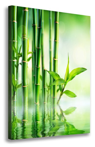 Tablou canvas Bamboo în apă