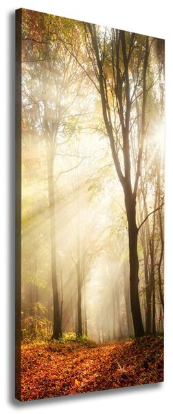 Tablou pe pânză canvas pădure în toamna