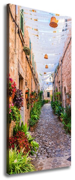 Tablou pe pânză canvas Majorca Spania