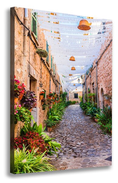 Tablou pe pânză canvas Majorca Spania