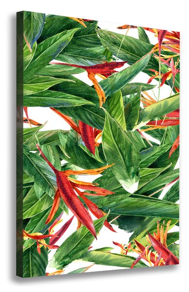 Imprimare tablou canvas Strelitzia reginae