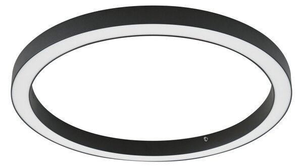 Plafoniere Lucande, Neor, reglabil, Negru, Zona coridorului, Metal, Modern