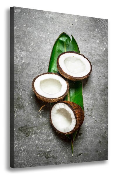 Tablou pe pânză canvas Pe frunze de nucă de cocos
