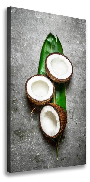 Tablou pe pânză canvas Pe frunze de nucă de cocos