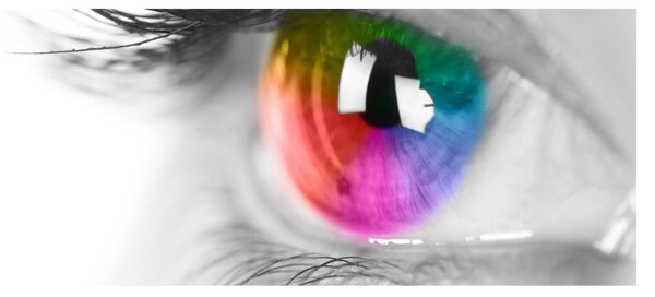 Tablou - Iris din ochi (120x50 cm)