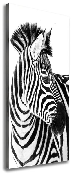 Tablou pe pânză canvas Zebra în zăpadă