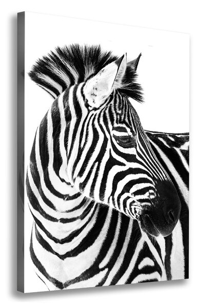 Tablou pe pânză canvas Zebra în zăpadă