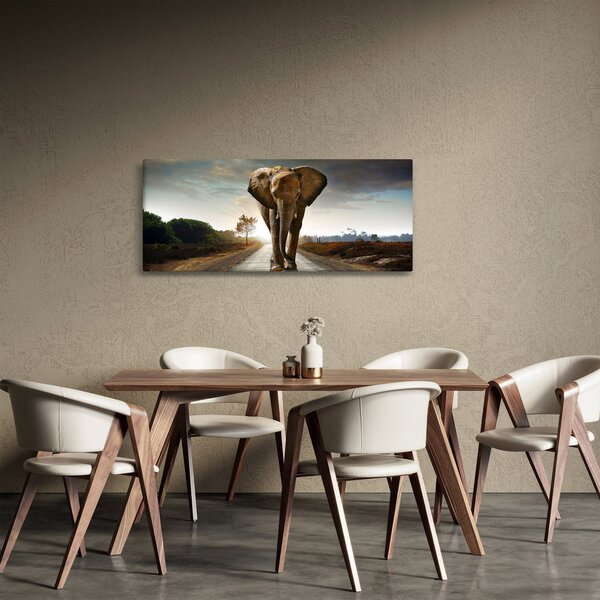Tablou cu elefant (120x50 cm)