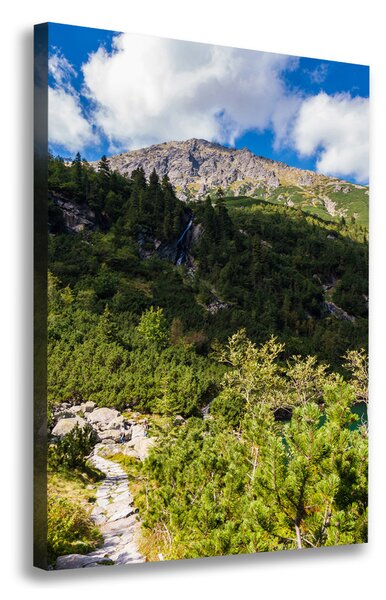 Tablou pe pânză canvas Marine ochi Tatry