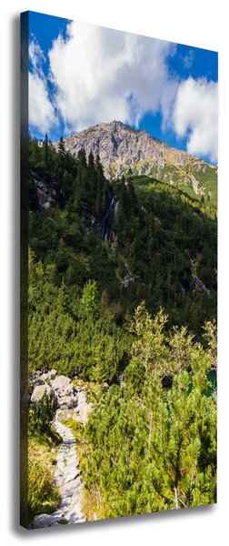 Tablou pe pânză canvas Marine ochi Tatry