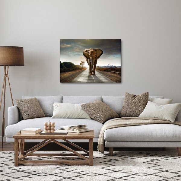 Tablou cu elefant (70x50 cm)