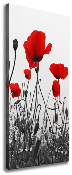 Tablou canvas wildflowers maci