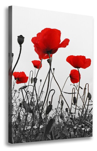 Tablou canvas wildflowers maci